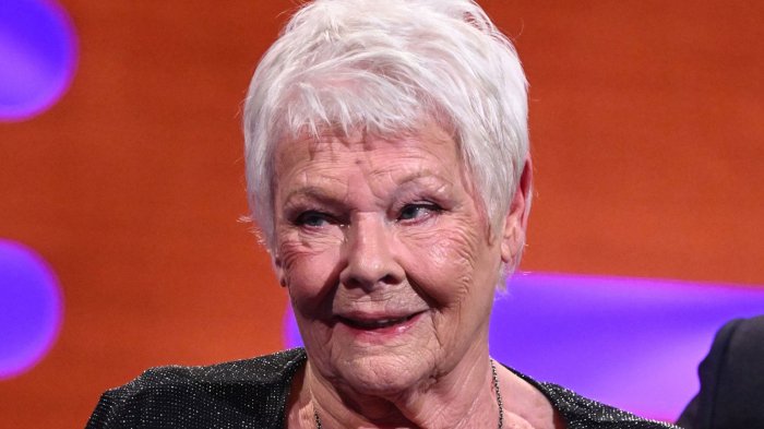 Judi Dench svela le conseguenze dei problemi di vista: 'Non posso più uscire da sola'